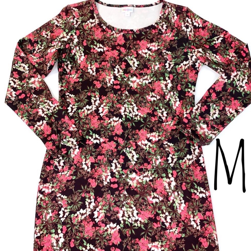 LuLaRoe Floral Long Sleeve Dress - Pink and Green